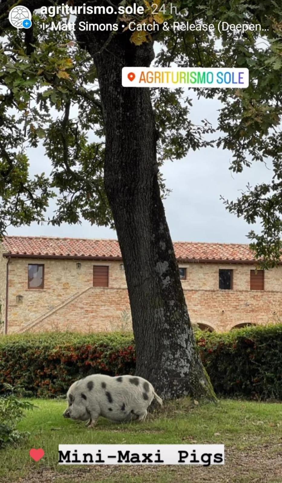 Agriturismo Sole Trequanda Exterior photo