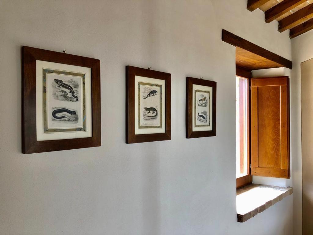 Agriturismo Sole Trequanda Exterior photo