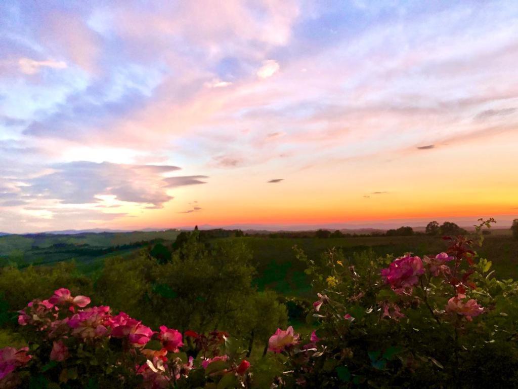 Agriturismo Sole Trequanda Exterior photo